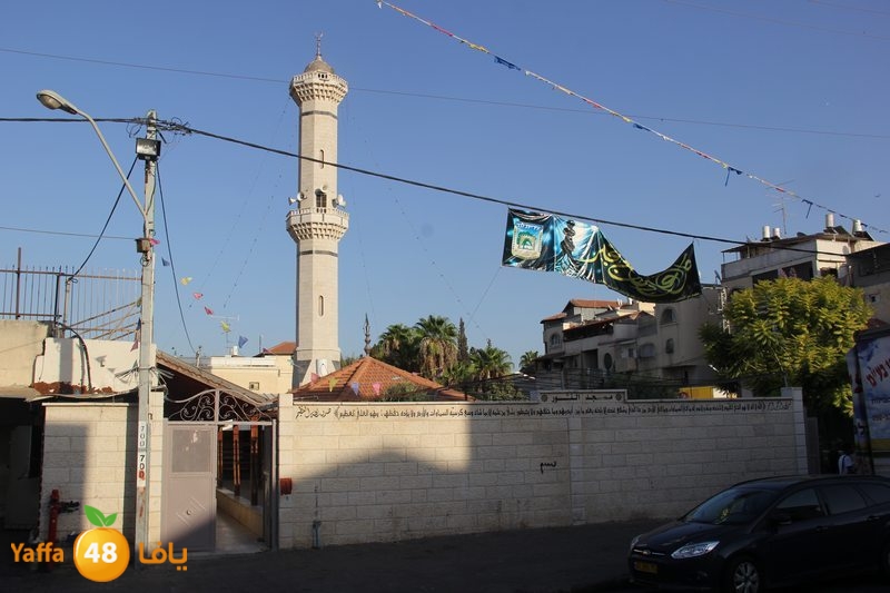 sha7ena ludi31 (9).JPG